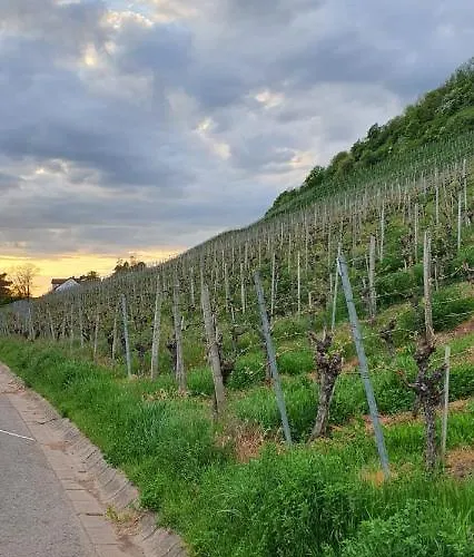 Zu Den Weinbergen * Zeil am Main