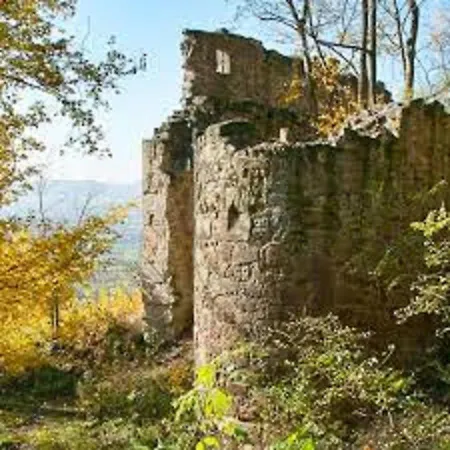 Zu Den Weinbergen *