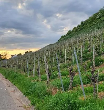 Zu Den Weinbergen * Zeil am Main